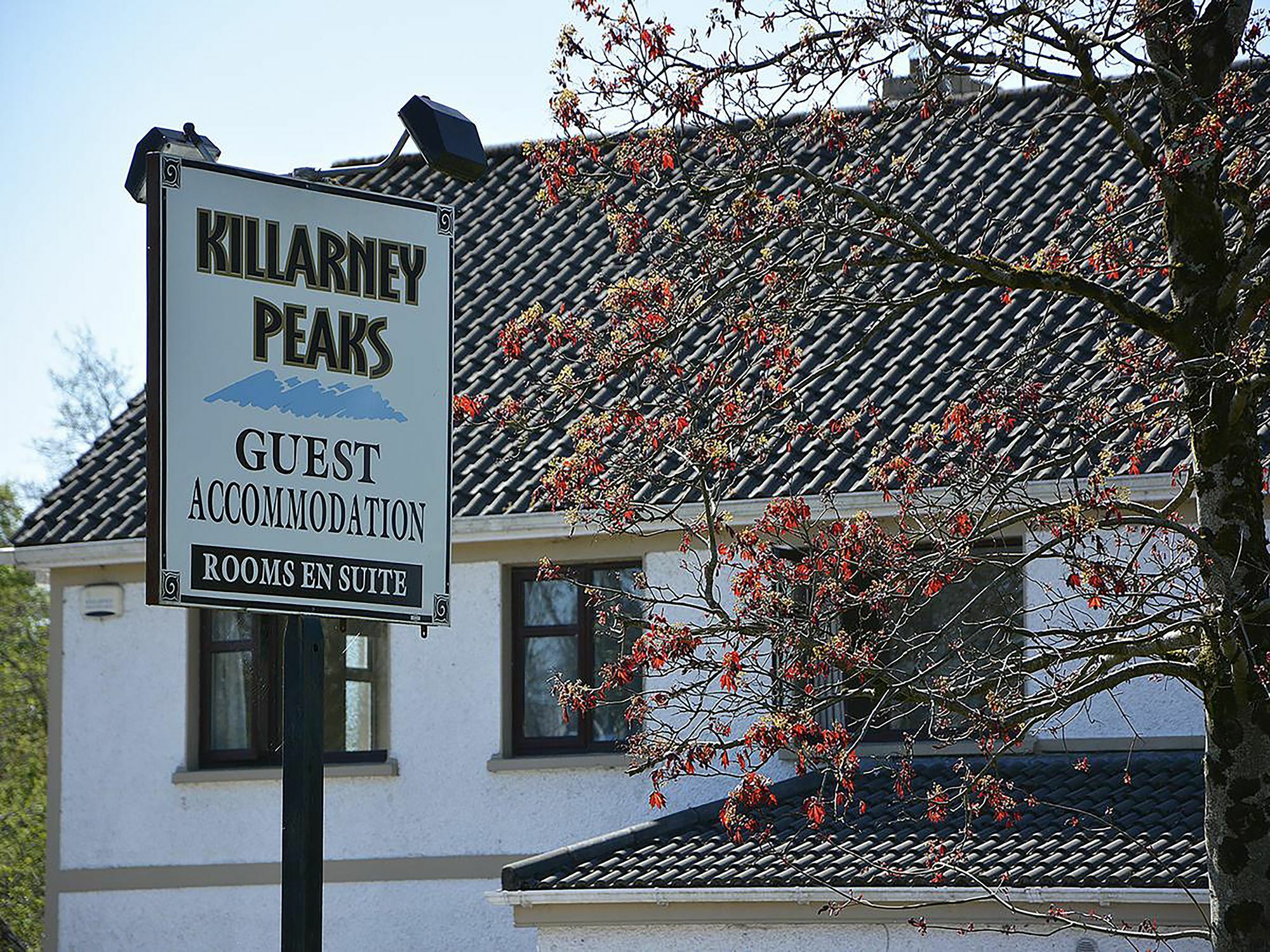 Killarney Peaks Guesthouse Luaran gambar